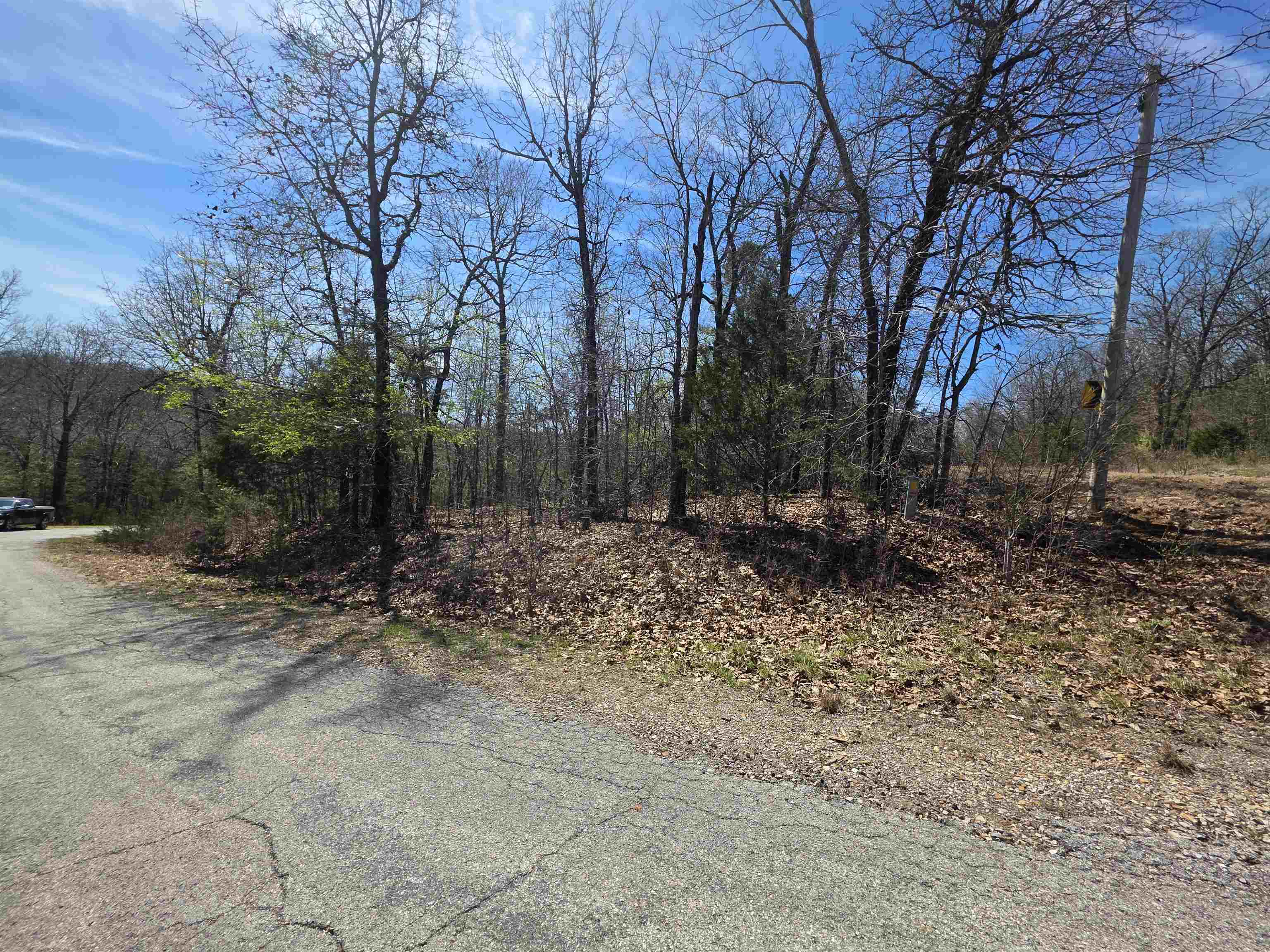 L-39 B-10 Iroquois  Cherokee Village, AR