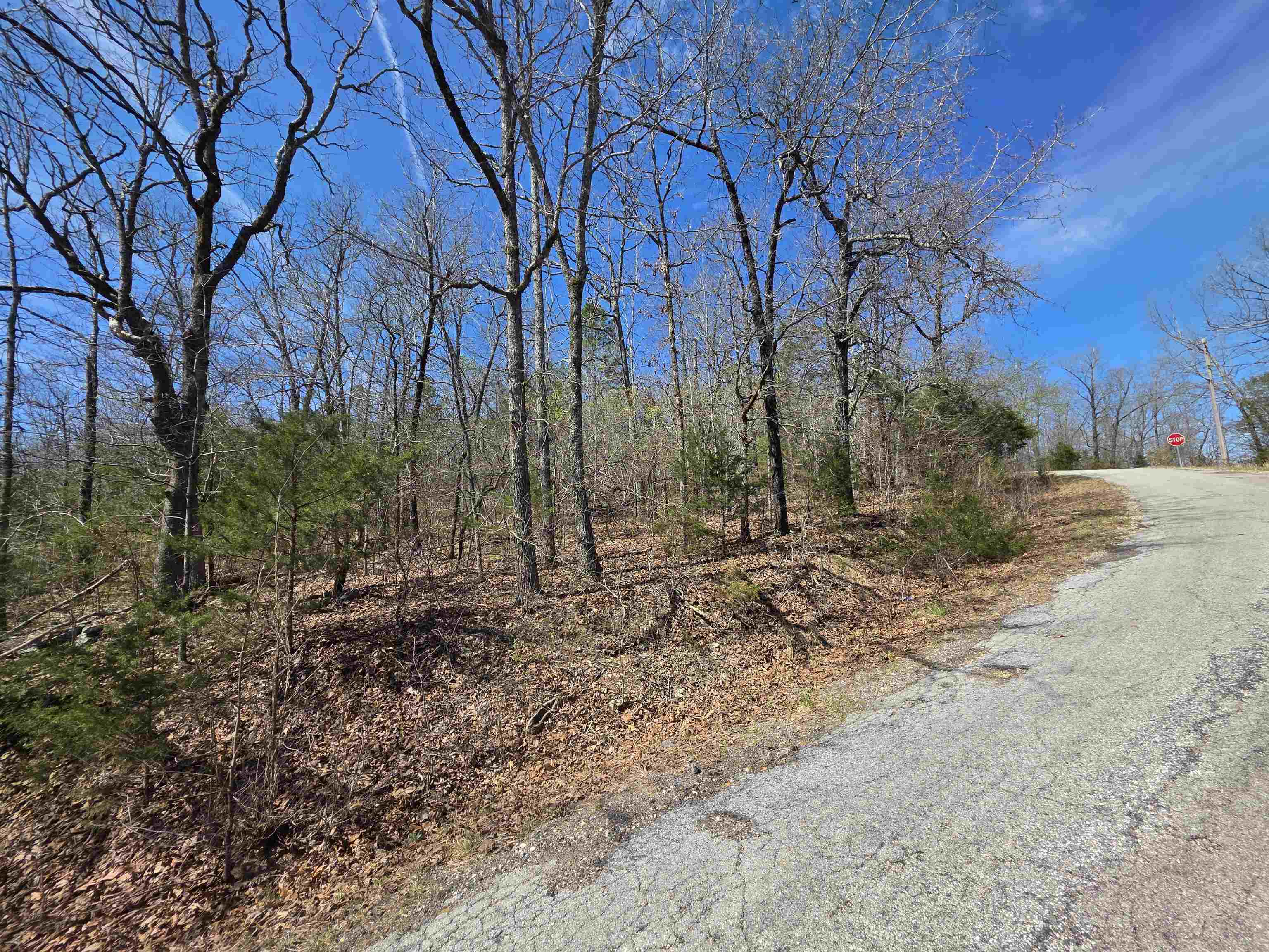 L-39 B-10 Iroquois  Cherokee Village, AR