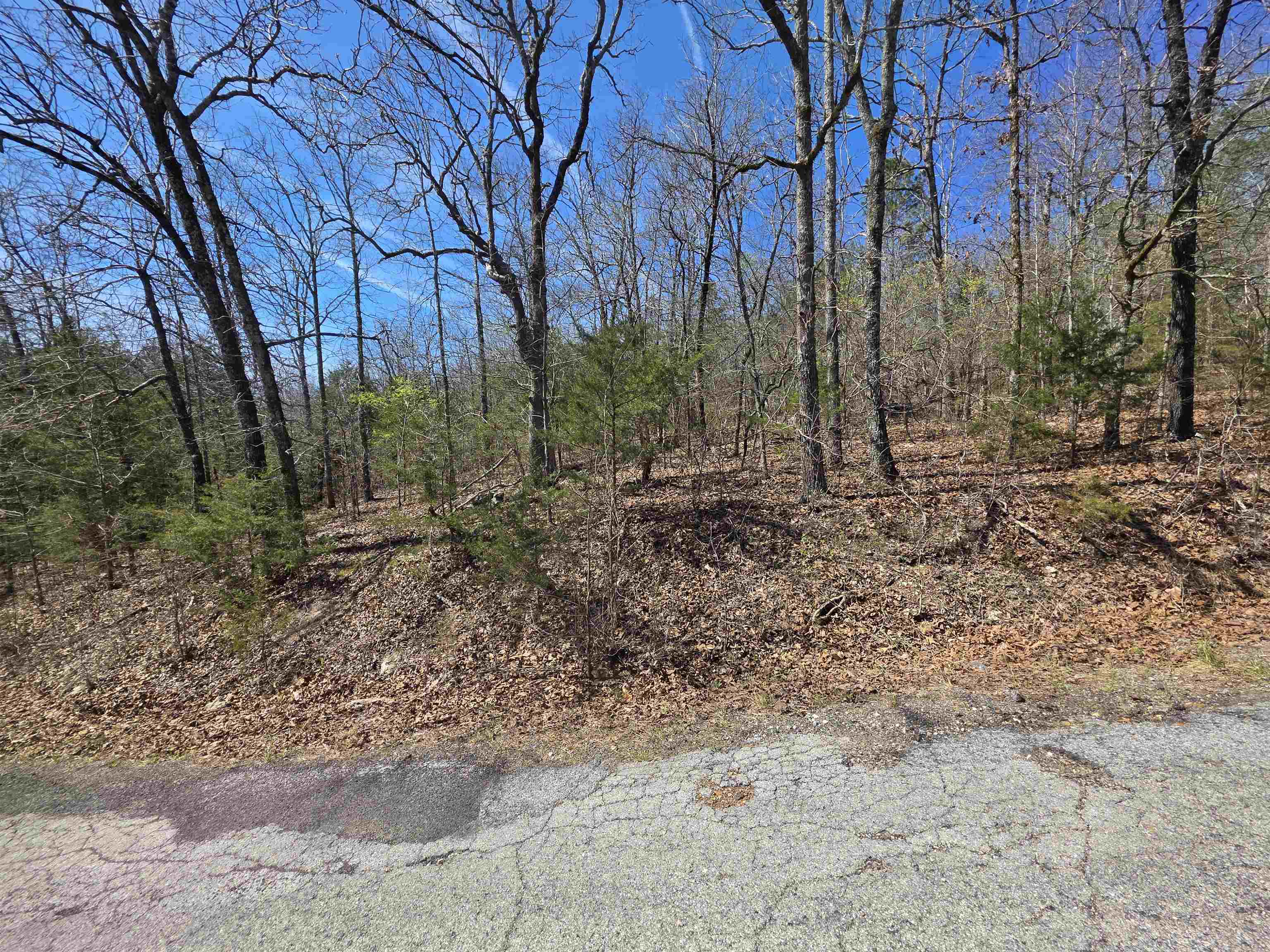 L-39 B-10 Iroquois  Cherokee Village, AR