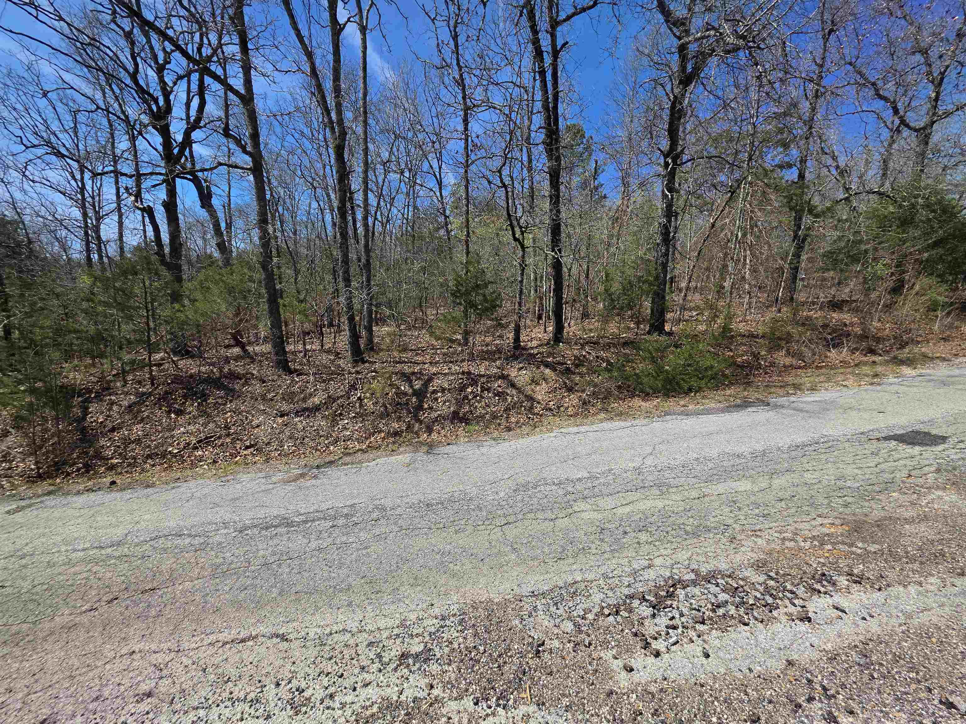 L-39 B-10 Iroquois  Cherokee Village, AR