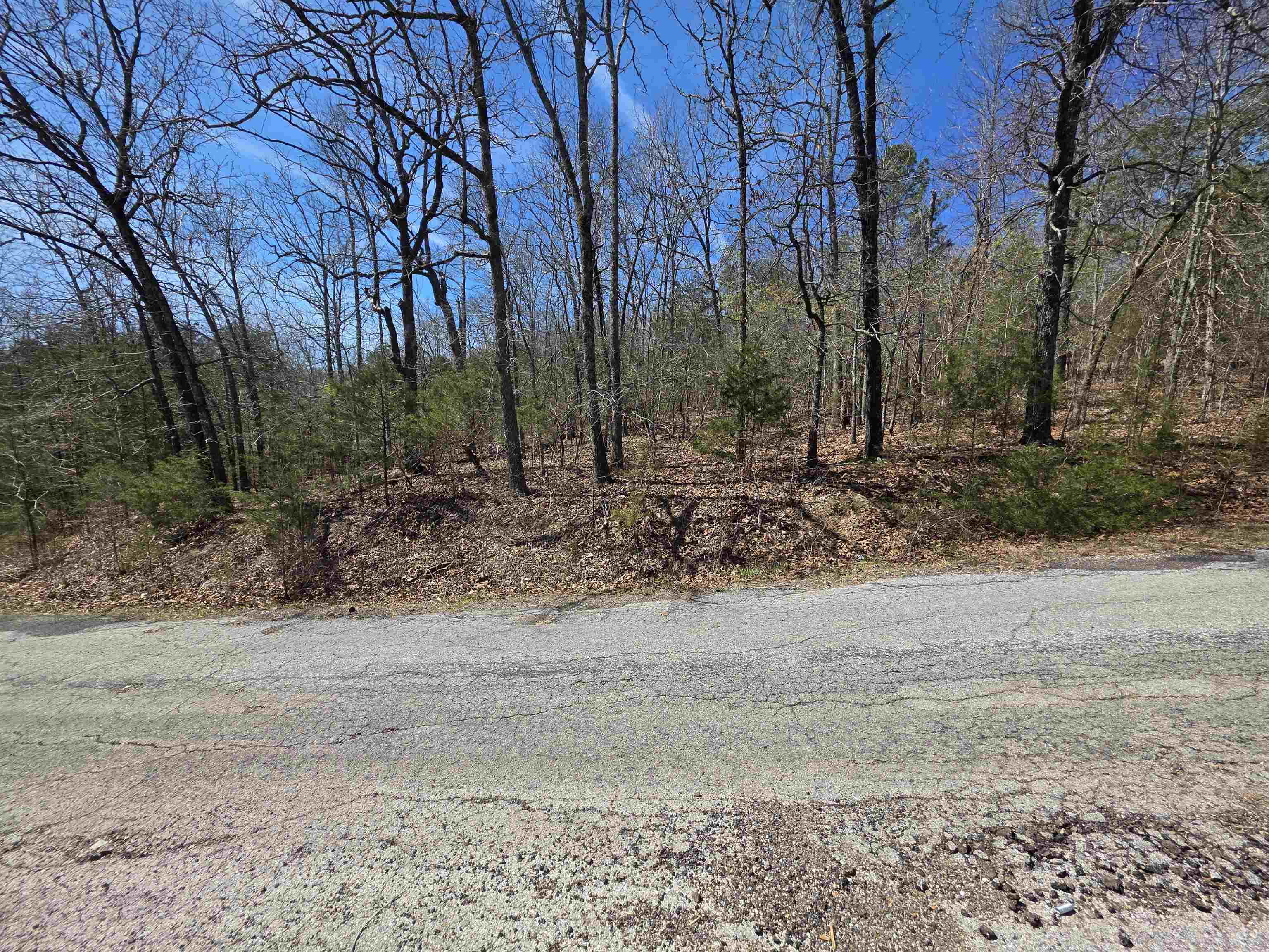 L-39 B-10 Iroquois  Cherokee Village, AR