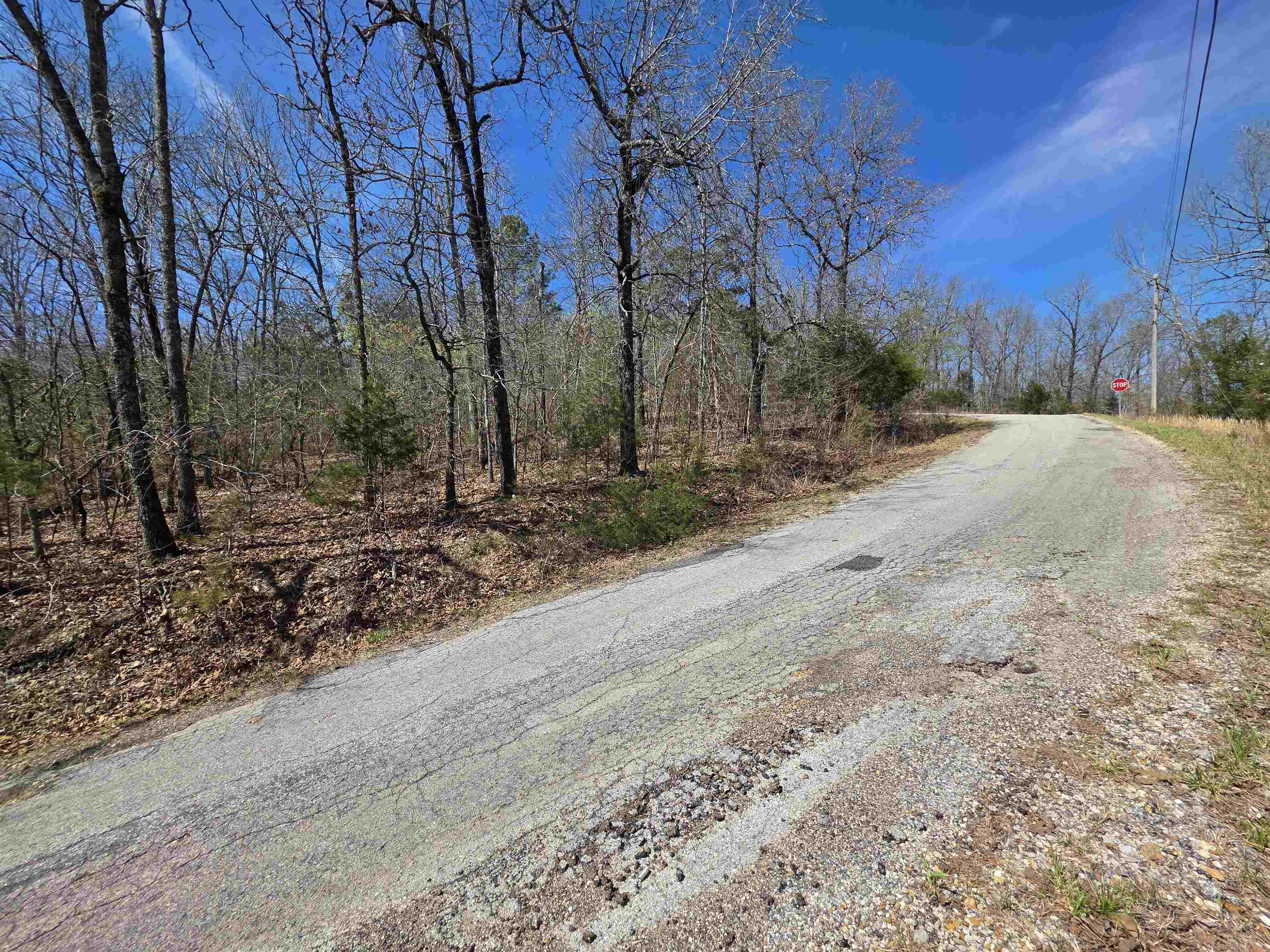 L-39 B-10 Iroquois  Cherokee Village, AR
