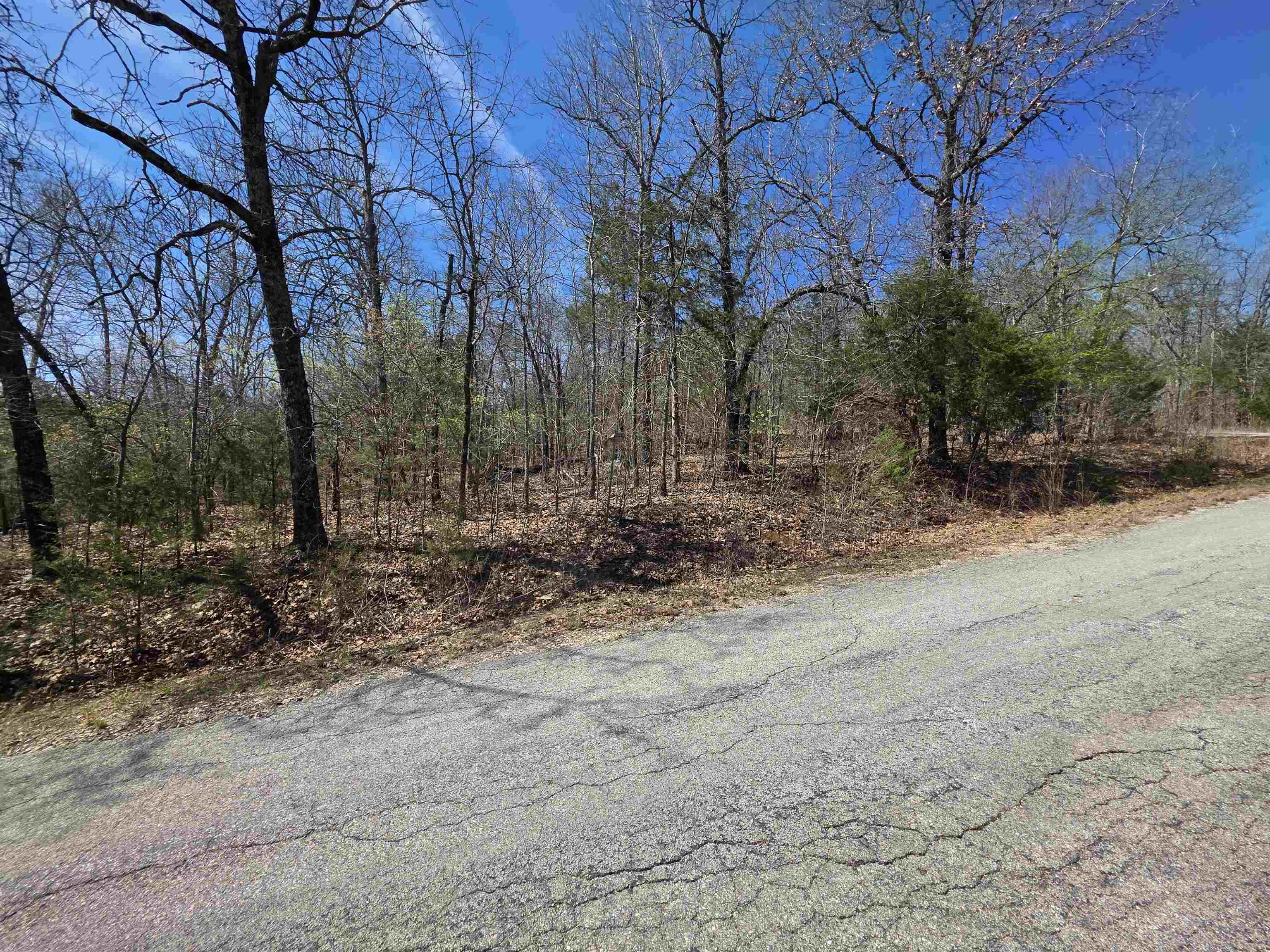 L-39 B-10 Iroquois  Cherokee Village, AR