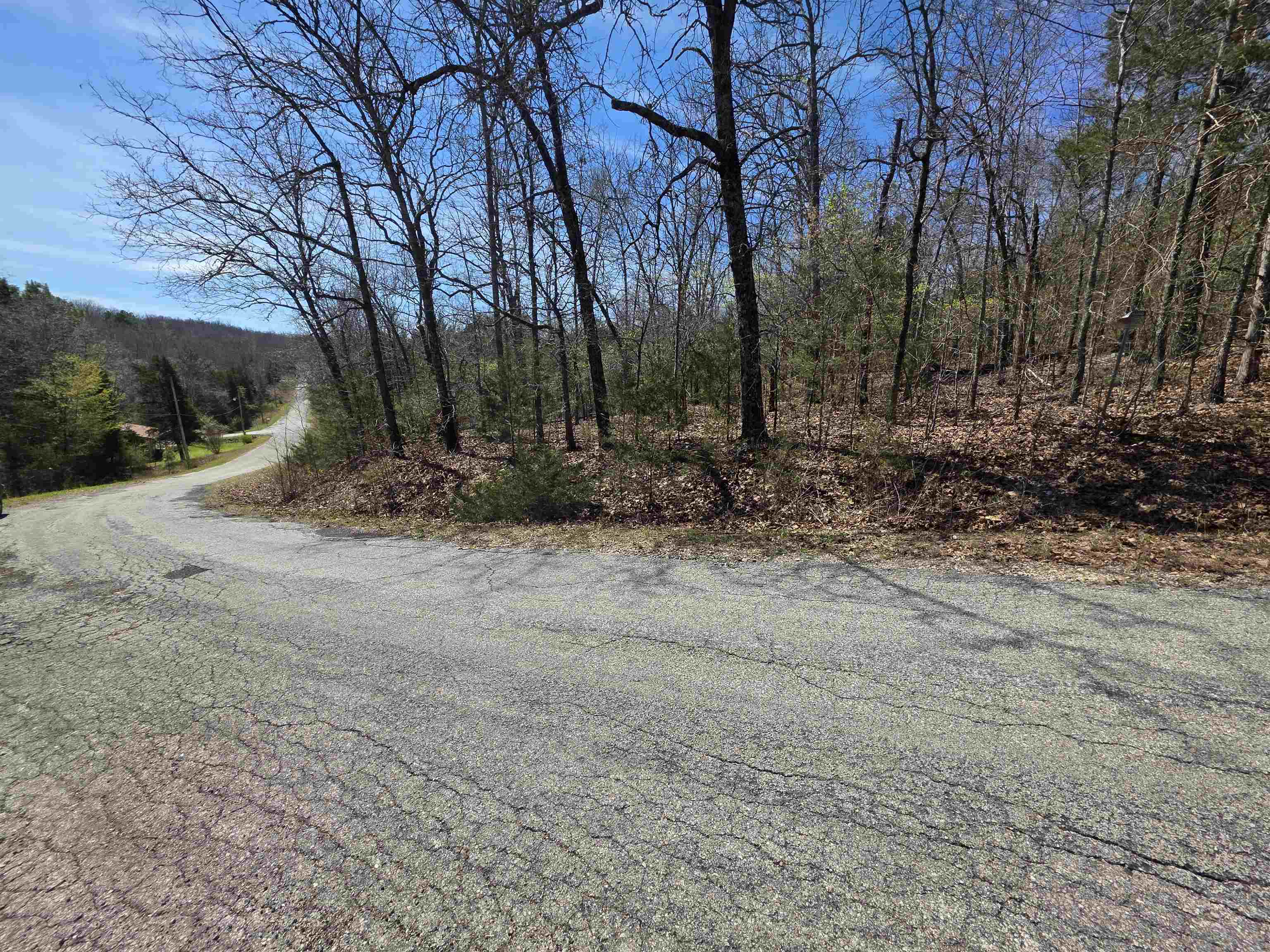 L-39 B-10 Iroquois  Cherokee Village, AR