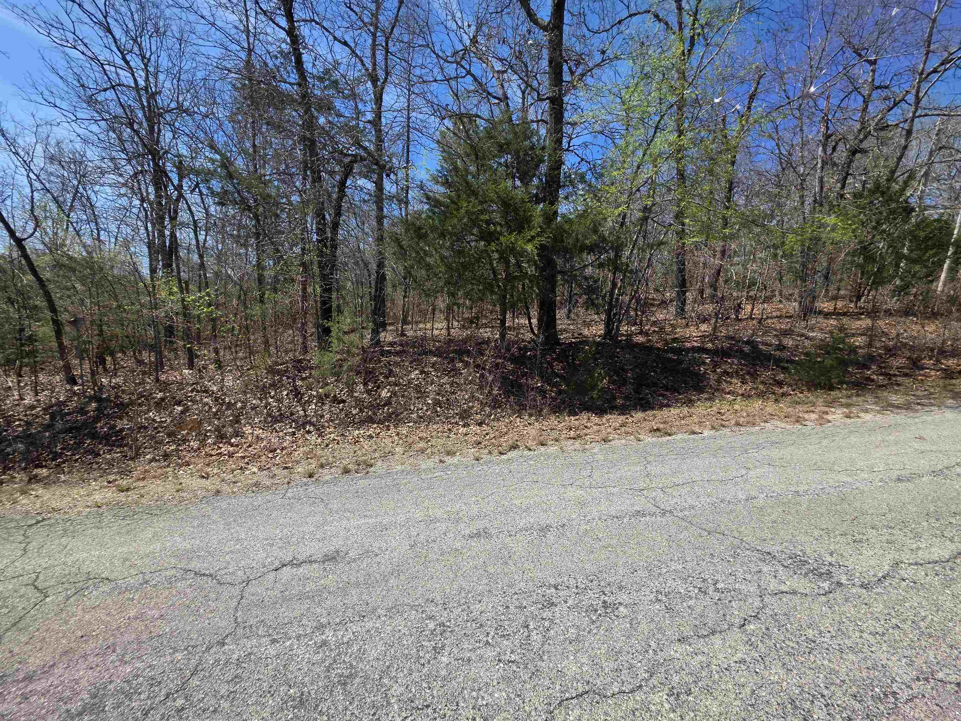 L-39 B-10 Iroquois  Cherokee Village, AR