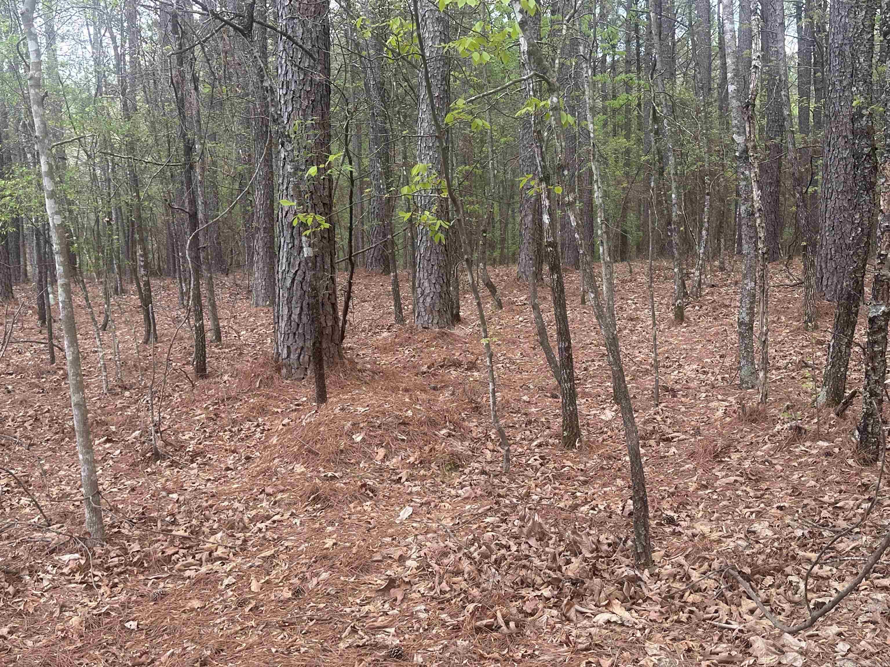 6 Alhaja Way  Hot Springs Village, AR