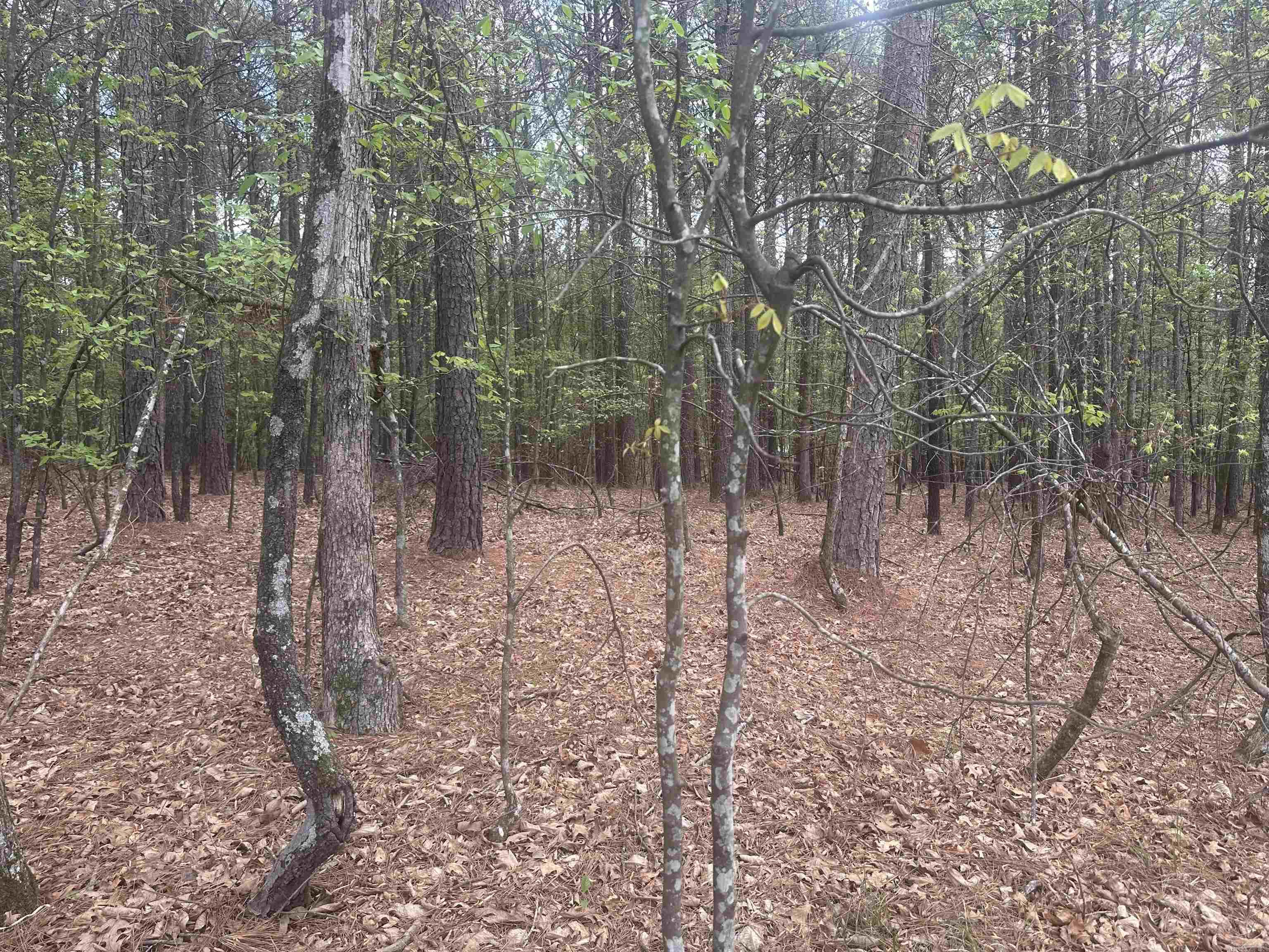 6 Alhaja Way  Hot Springs Village, AR