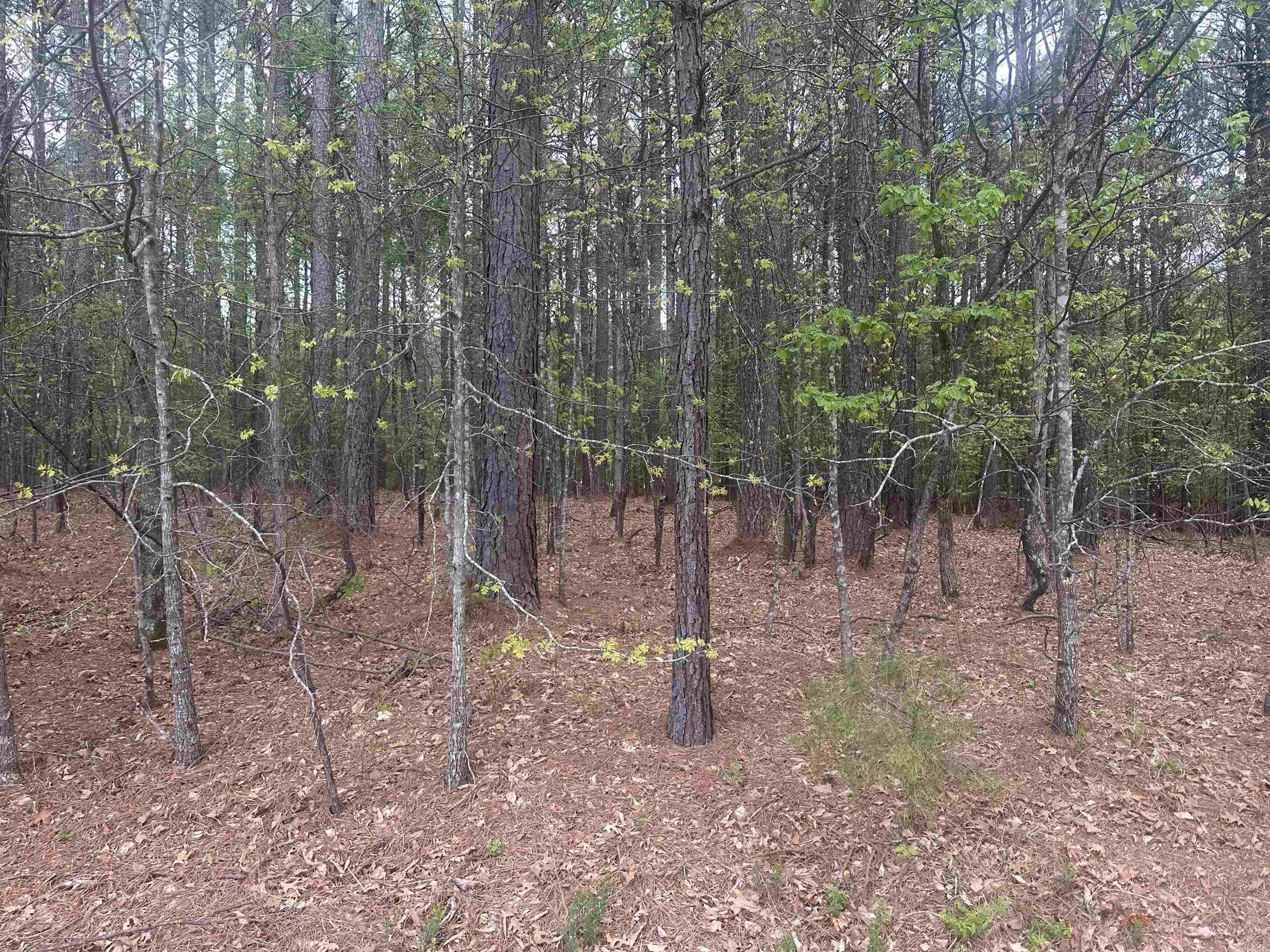 6 Alhaja Way  Hot Springs Village, AR