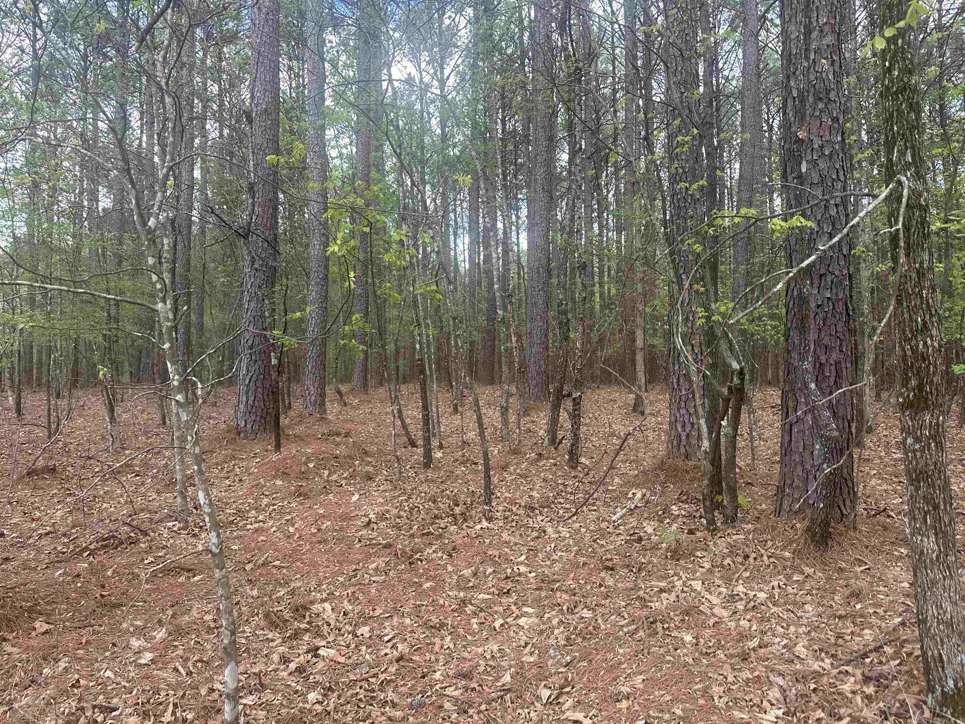 6 Alhaja Way  Hot Springs Village, AR