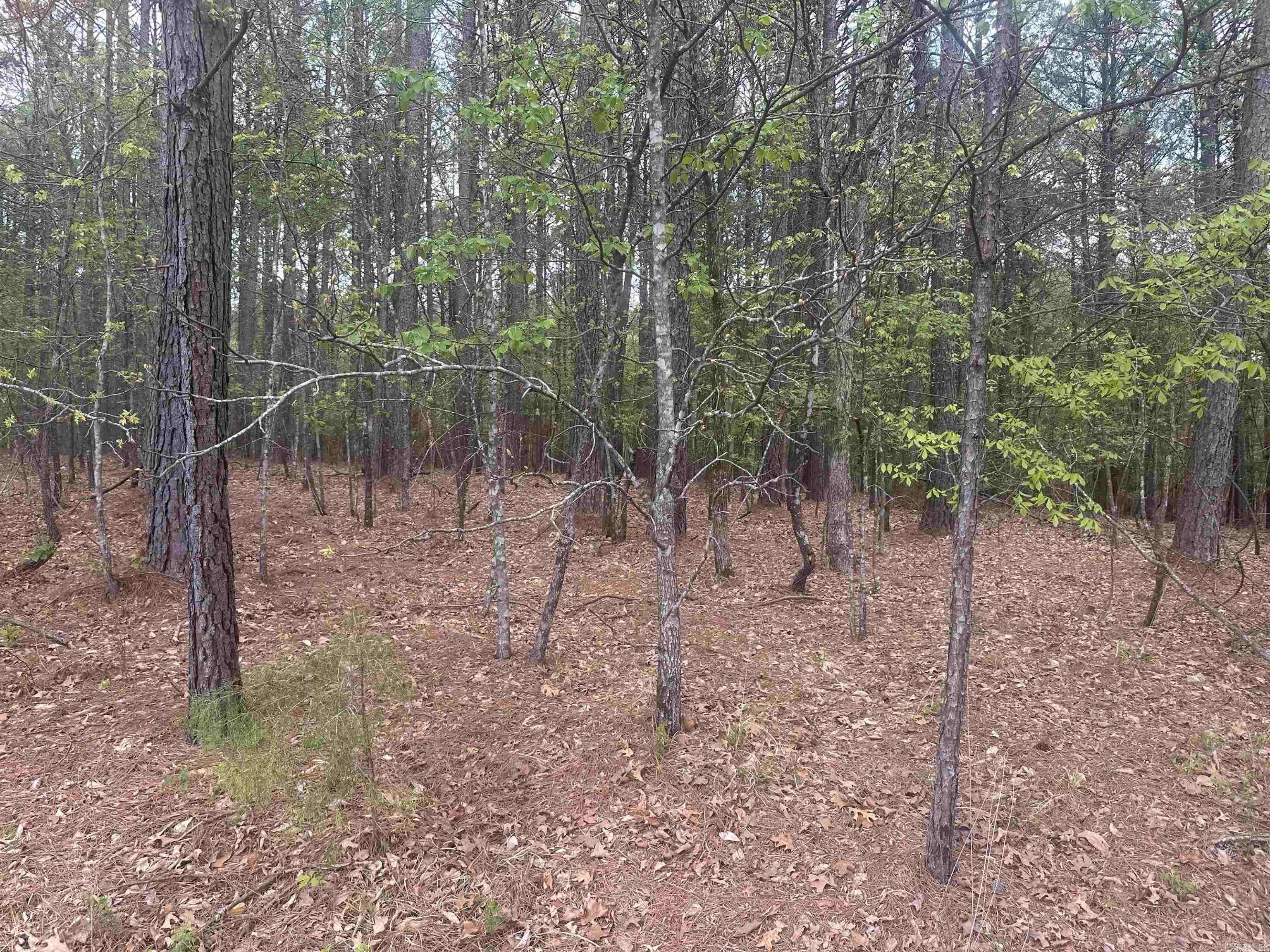 6 Alhaja Way  Hot Springs Village, AR