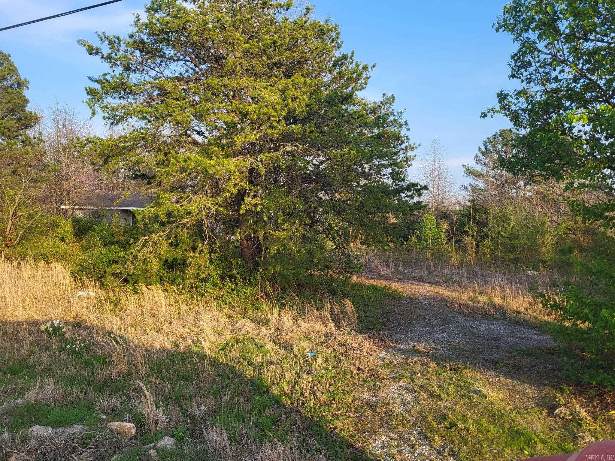 6475 Highway 67  Corning, AR