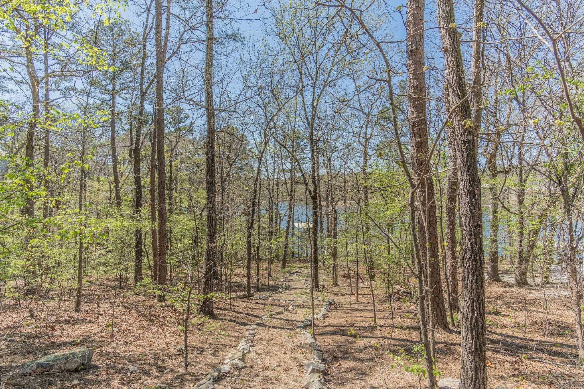 57 Soto  Hot Springs Village, AR