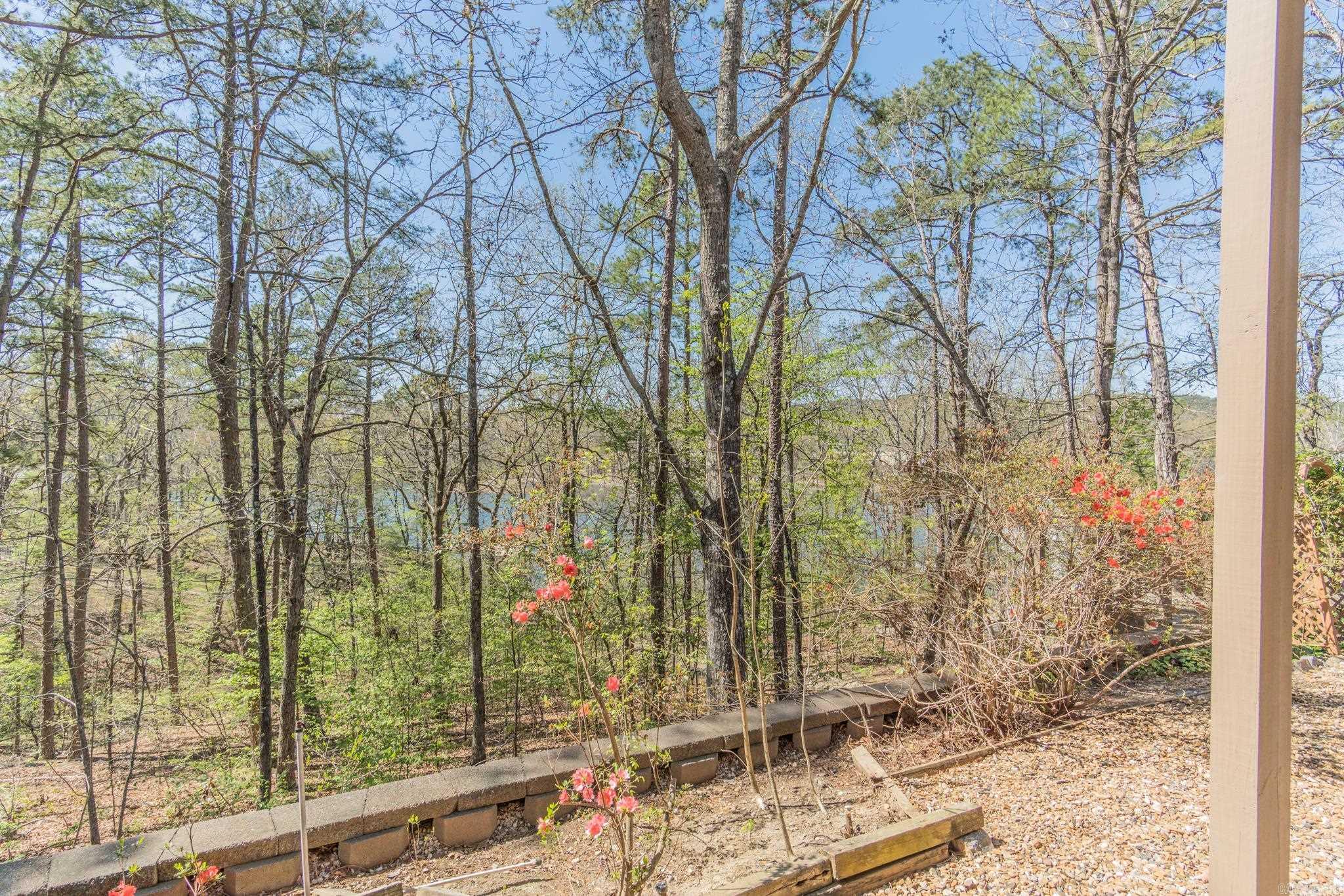 57 Soto  Hot Springs Village, AR