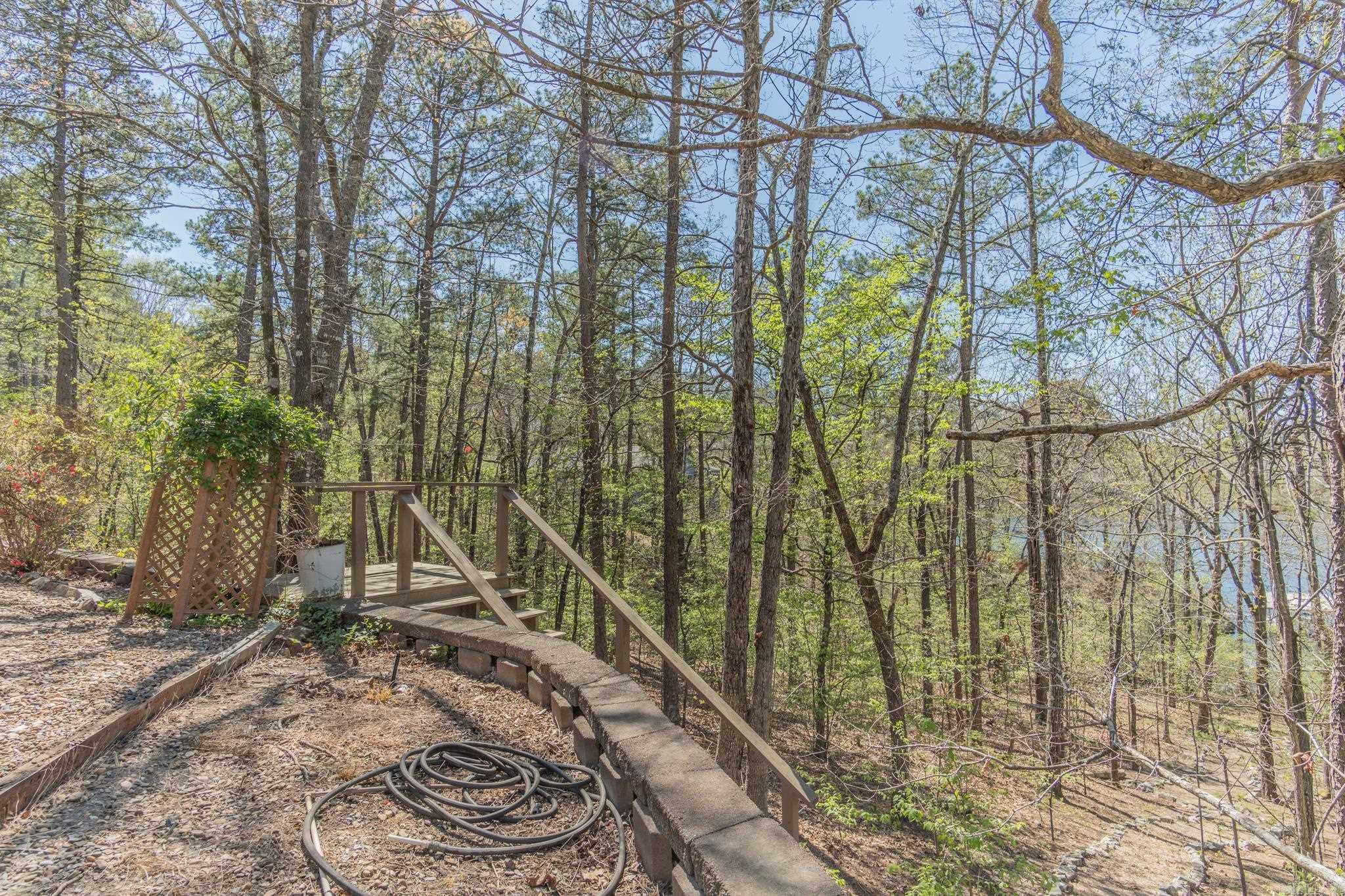 57 Soto  Hot Springs Village, AR