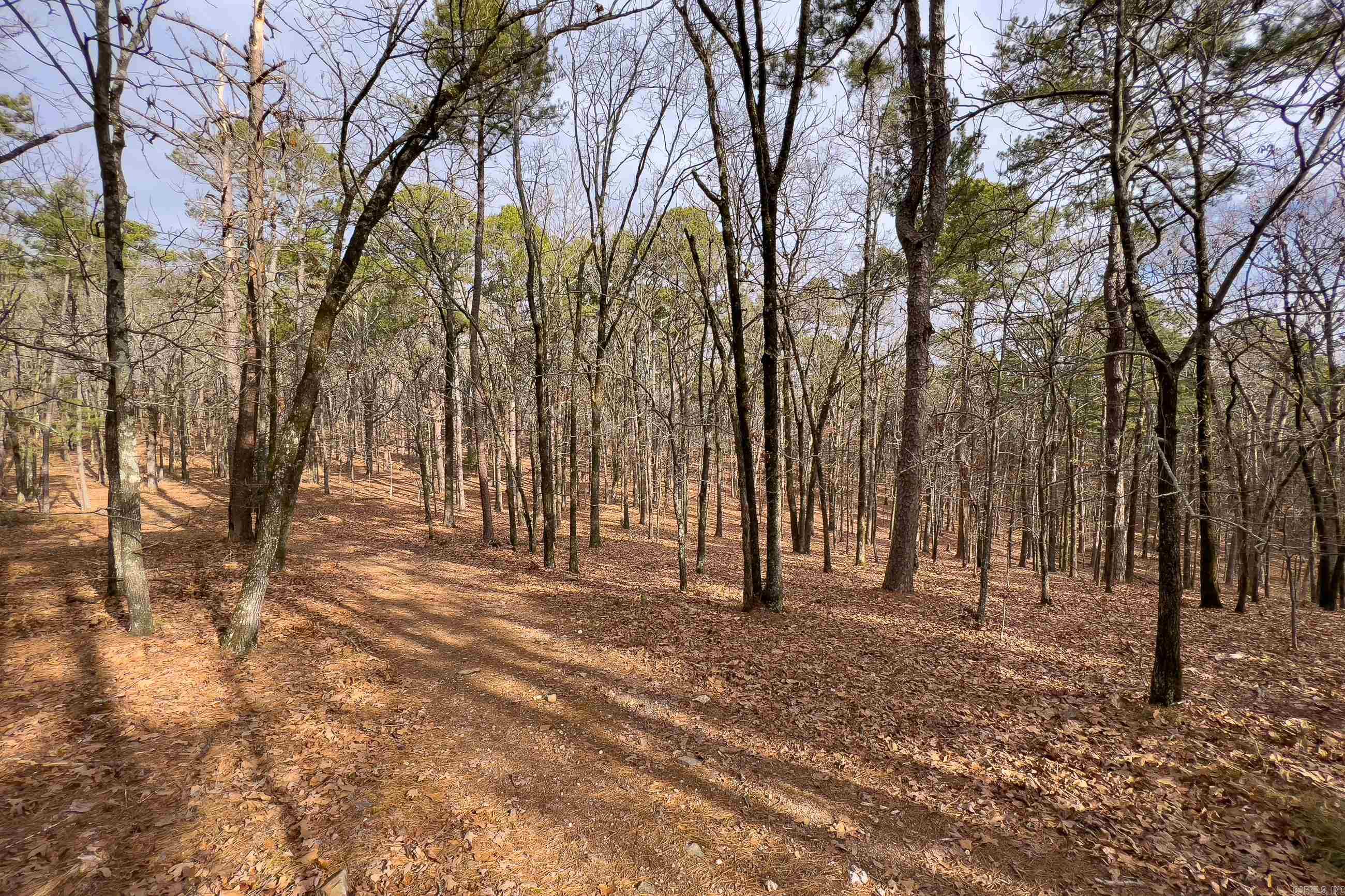 0142 Valley Ranch Drive  Little Rock, AR