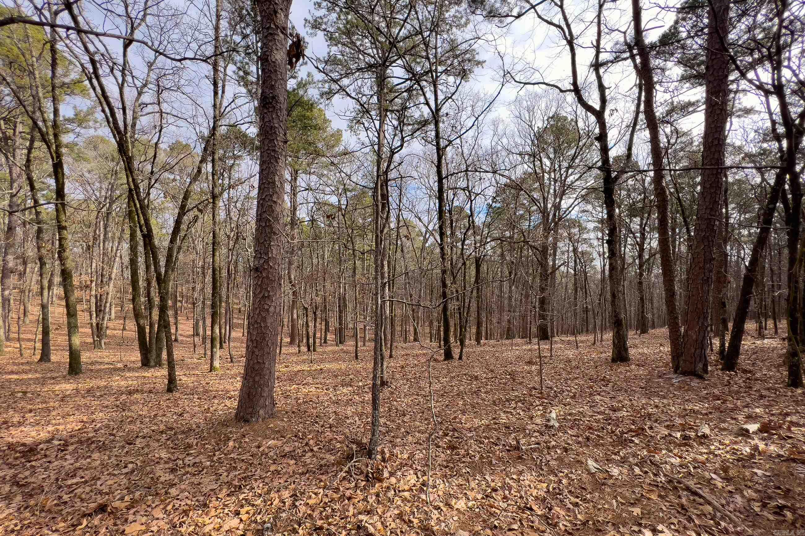 0142 Valley Ranch Drive  Little Rock, AR