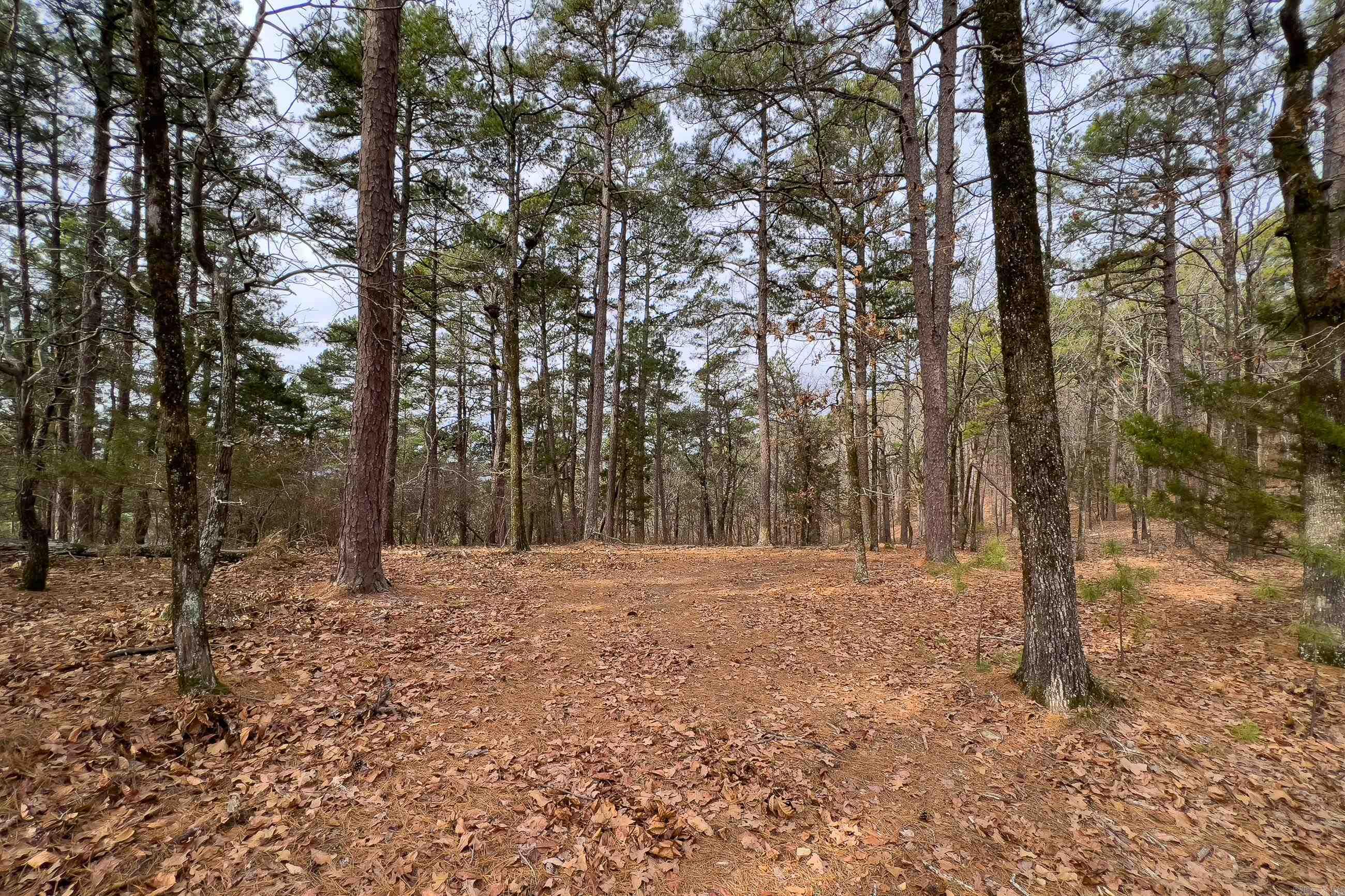 0142 Valley Ranch Drive  Little Rock, AR