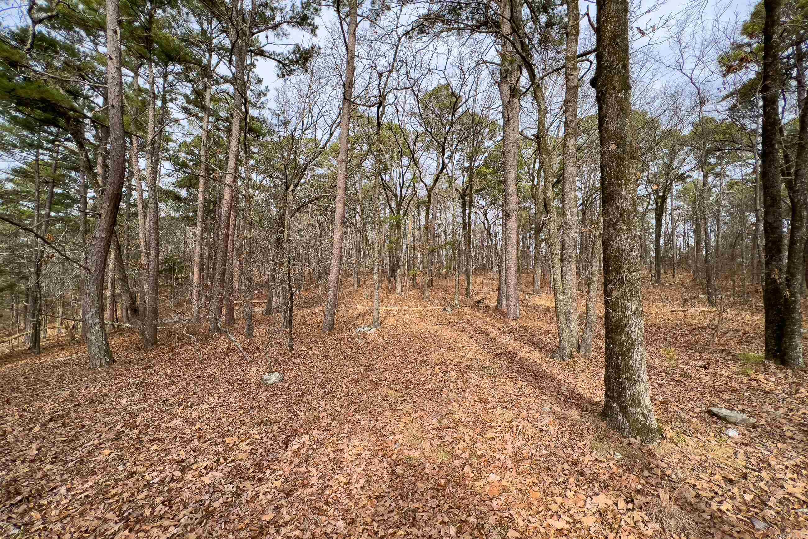 0142 Valley Ranch Drive  Little Rock, AR