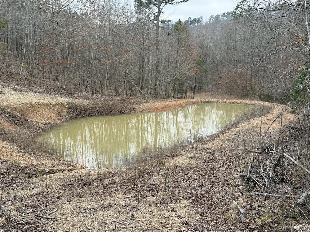 627 Dogwood Hollow Road  Melbourne, AR