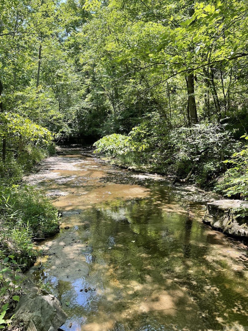 627 Dogwood Hollow Road  Melbourne, AR