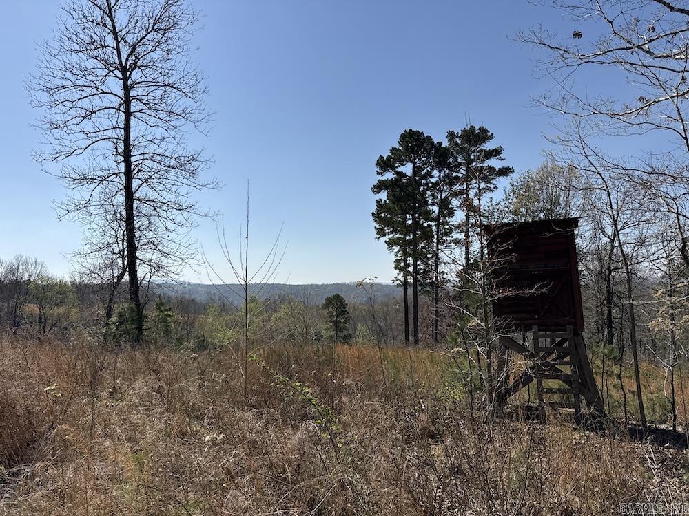 627 Dogwood Hollow Road  Melbourne, AR