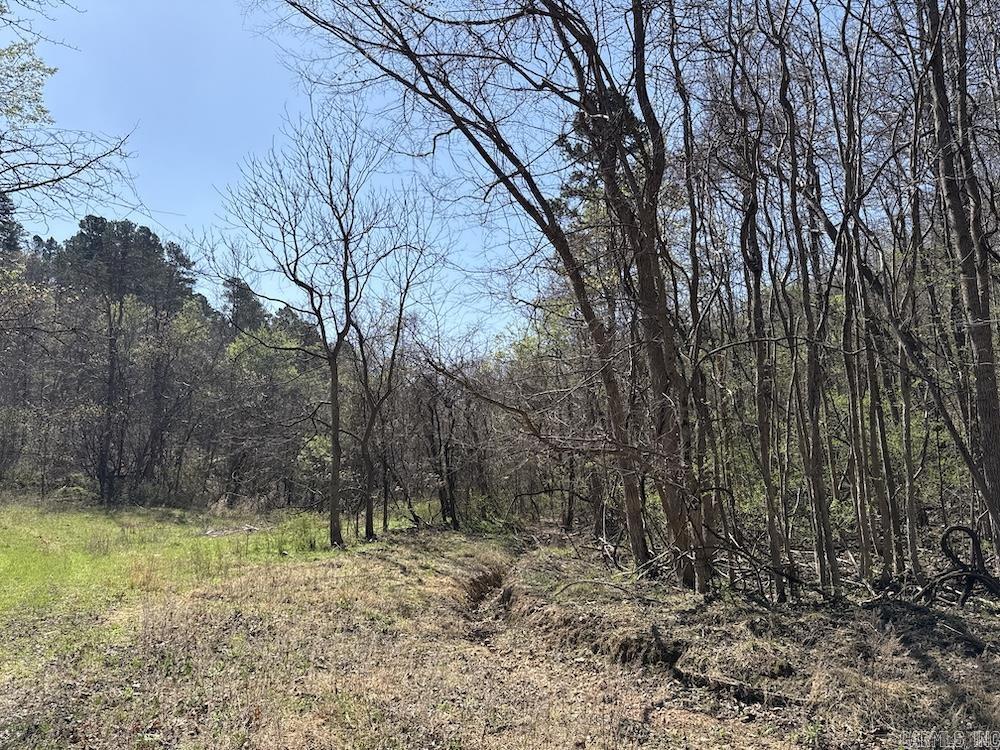 627 Dogwood Hollow Road  Melbourne, AR