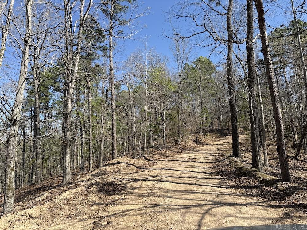 627 Dogwood Hollow Road  Melbourne, AR