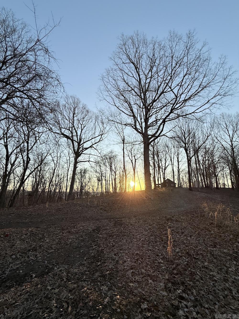 627 Dogwood Hollow Road  Melbourne, AR