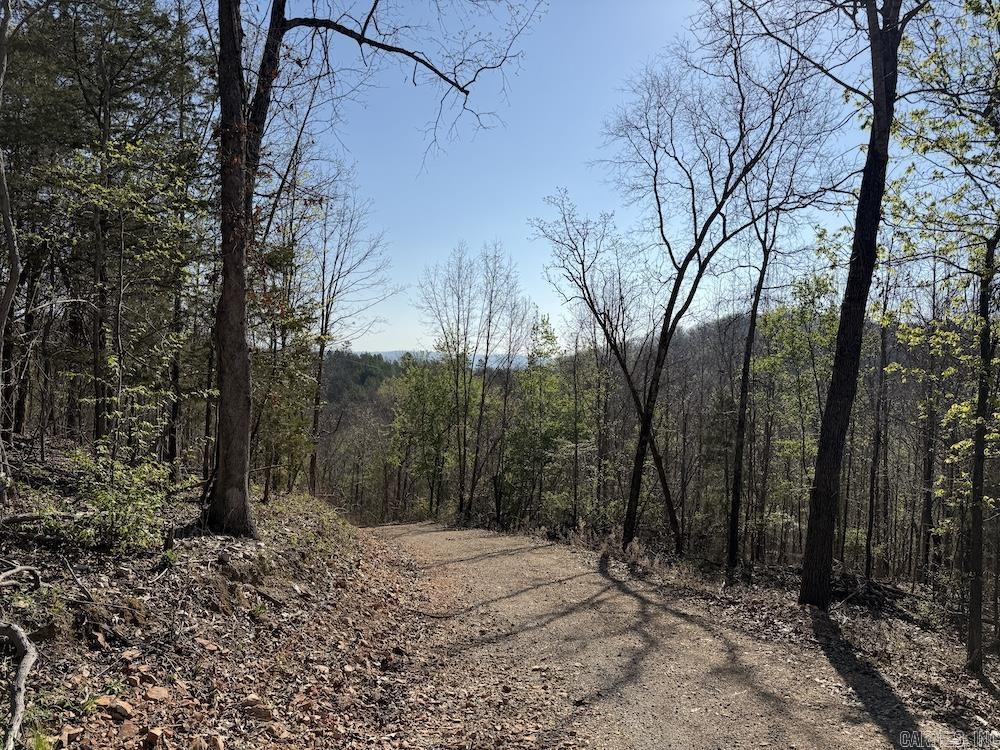 627 Dogwood Hollow Road  Melbourne, AR