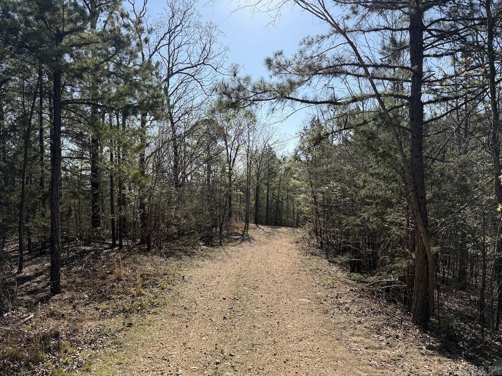 627 Dogwood Hollow Road  Melbourne, AR