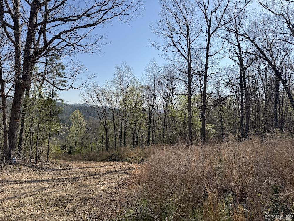 627 Dogwood Hollow Road  Melbourne, AR