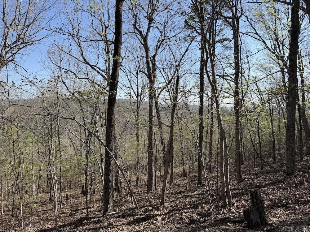 627 Dogwood Hollow Road  Melbourne, AR