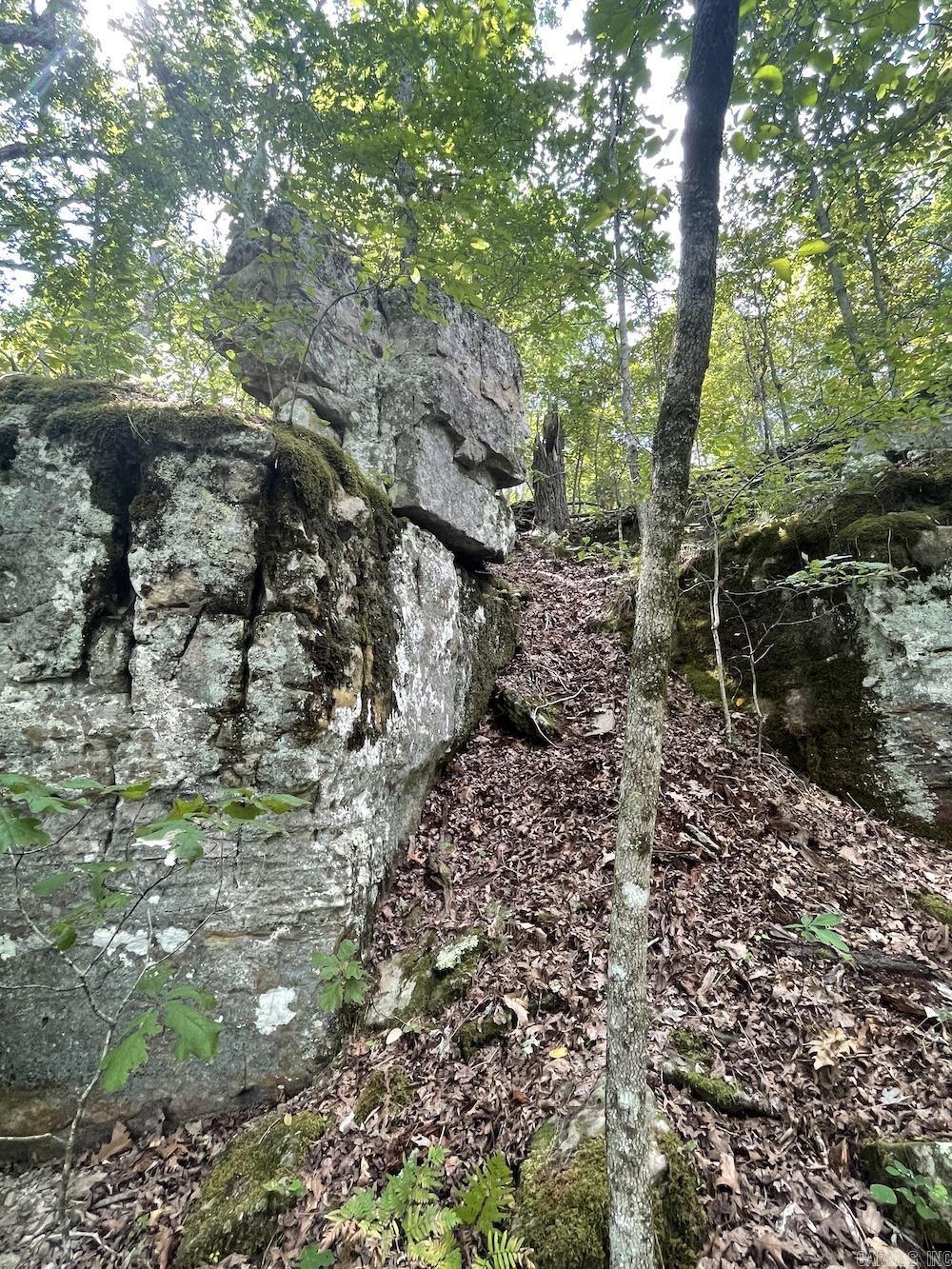 627 Dogwood Hollow Road  Melbourne, AR