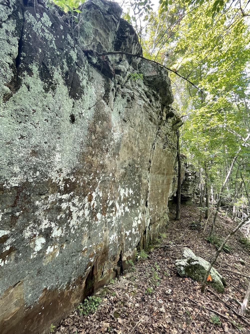 627 Dogwood Hollow Road  Melbourne, AR