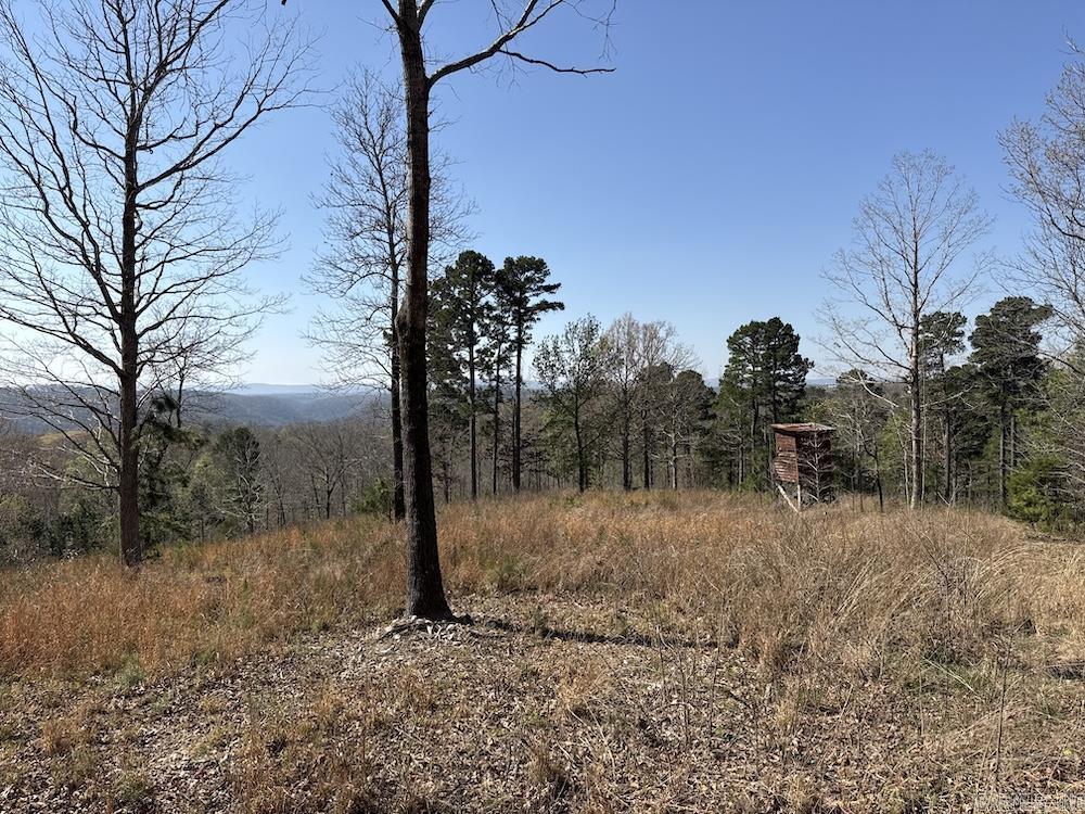 627 Dogwood Hollow Road  Melbourne, AR