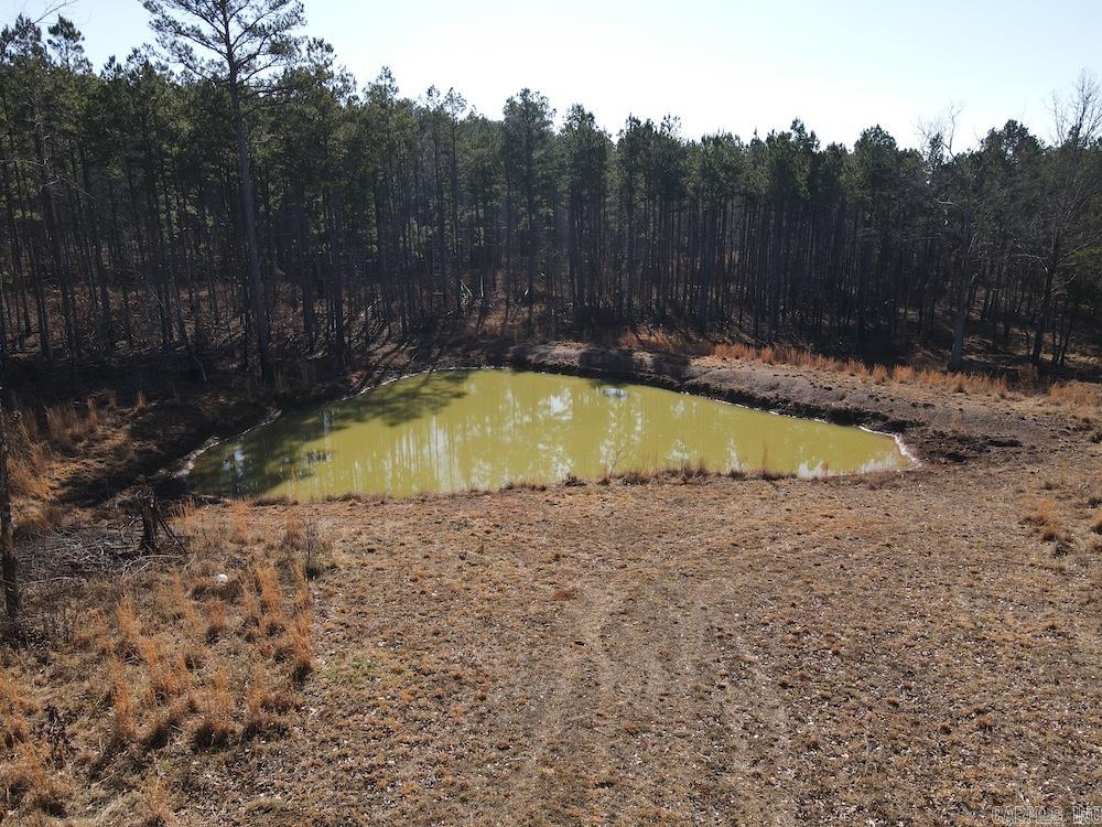 2319 Wildemar Lane  Leslie, AR