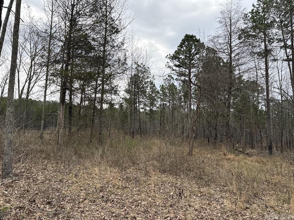 2319 Wildemar Lane  Leslie, AR