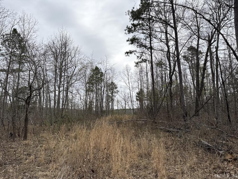 2319 Wildemar Lane  Leslie, AR