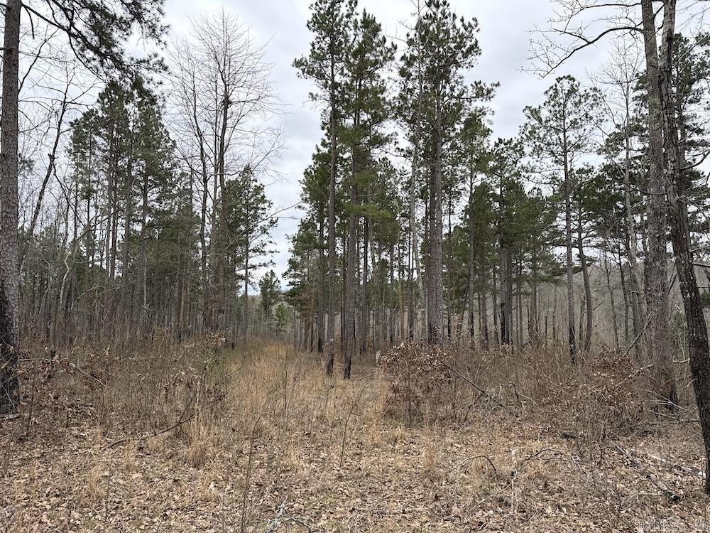 2319 Wildemar Lane  Leslie, AR