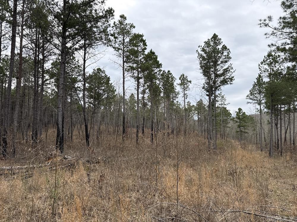 2319 Wildemar Lane  Leslie, AR