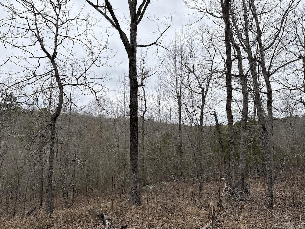 2319 Wildemar Lane  Leslie, AR