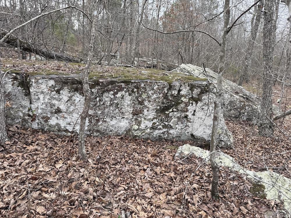 2319 Wildemar Lane  Leslie, AR