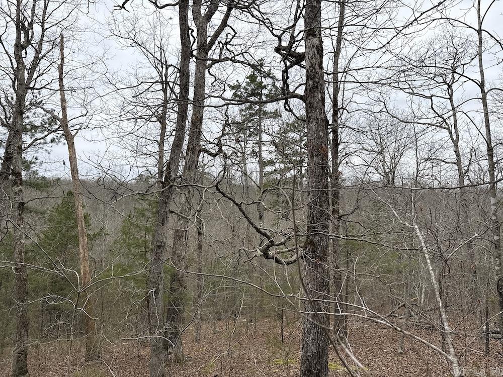 2319 Wildemar Lane  Leslie, AR