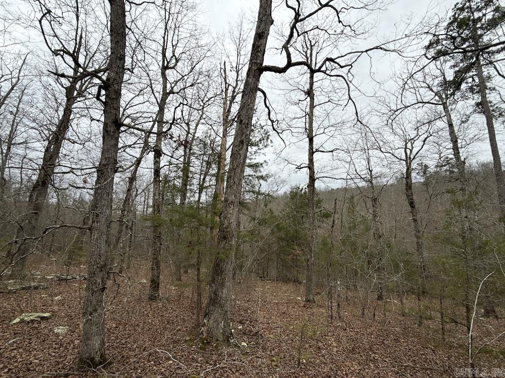 2319 Wildemar Lane  Leslie, AR