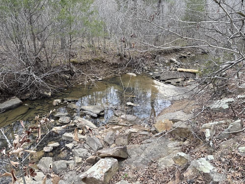 2319 Wildemar Lane  Leslie, AR