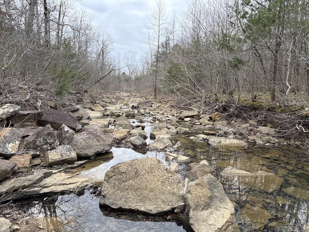 2319 Wildemar Lane  Leslie, AR