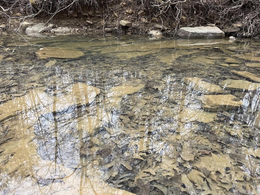 2319 Wildemar Lane  Leslie, AR