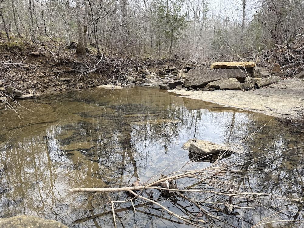 2319 Wildemar Lane  Leslie, AR