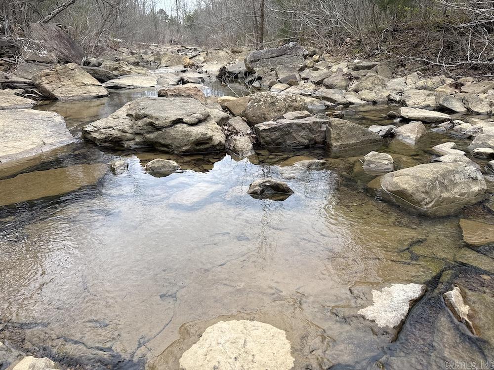 2319 Wildemar Lane  Leslie, AR