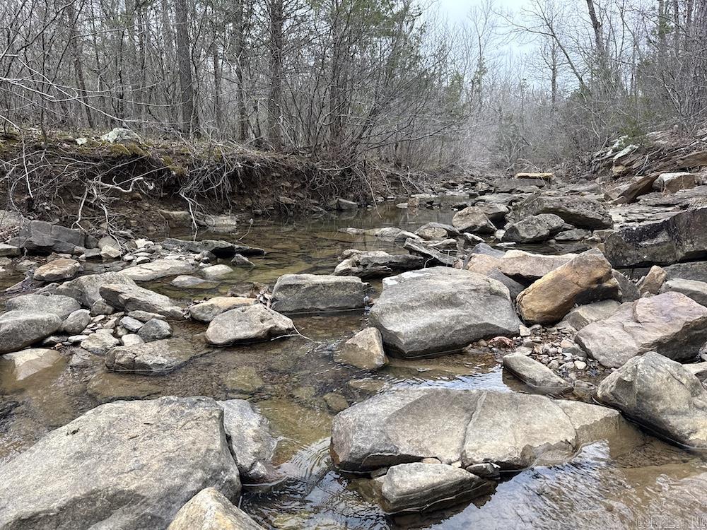 2319 Wildemar Lane  Leslie, AR